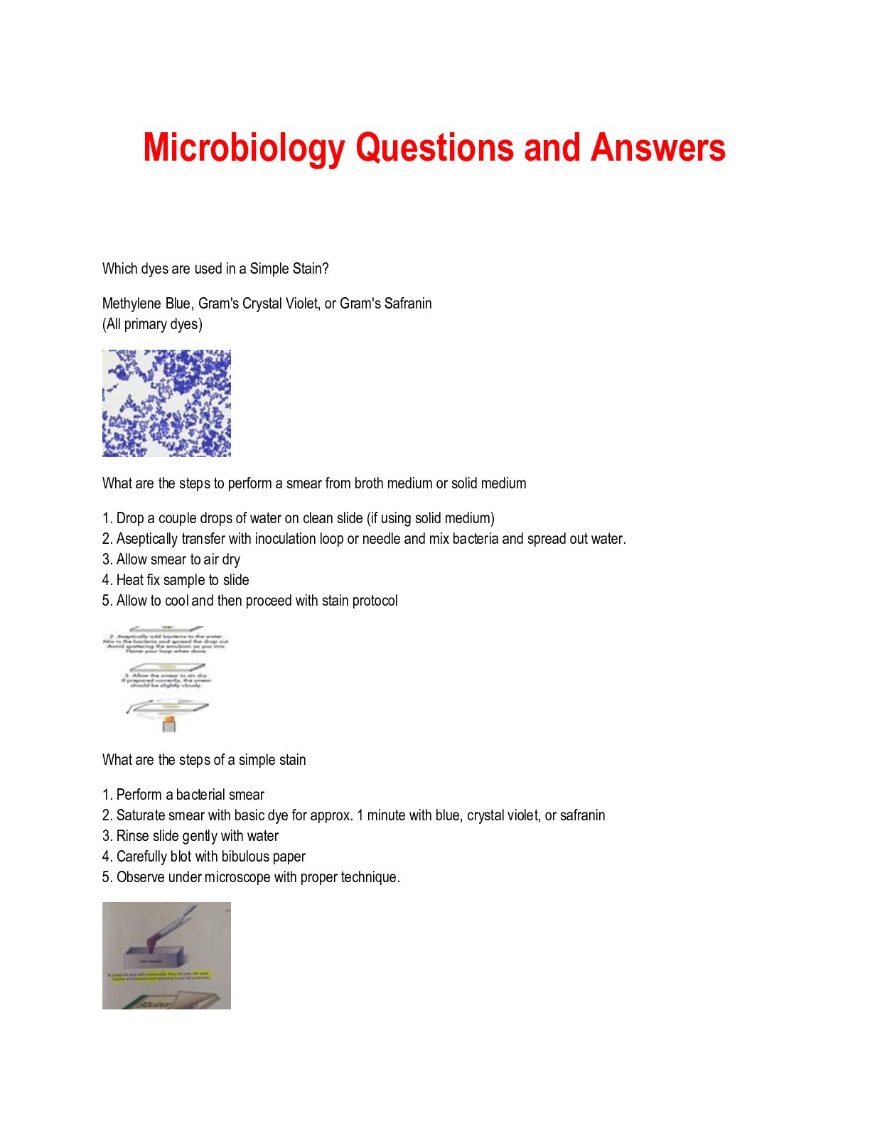 Microbiology Questions and Answers - Scholarfriends